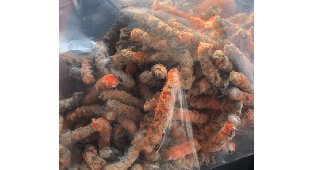 袋に入ったRPFペレット